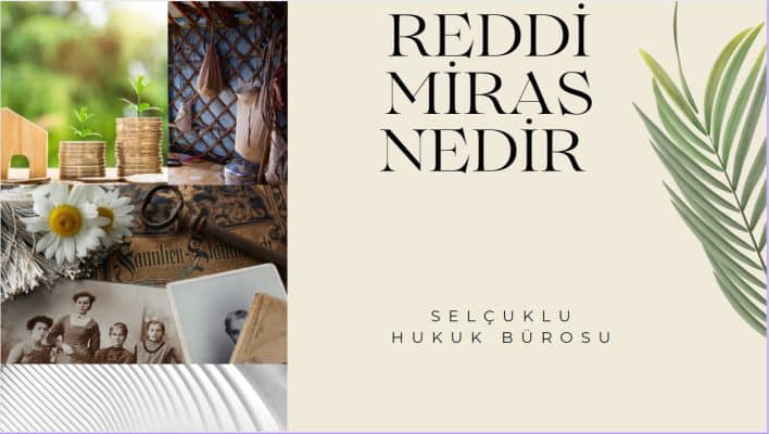 reddi-miras-nedir